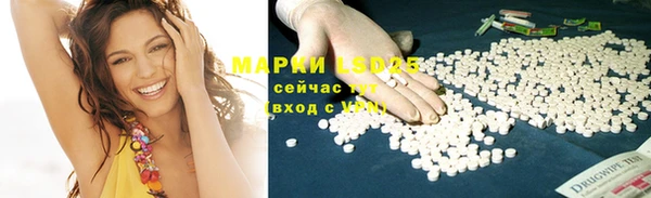 apvp Магас