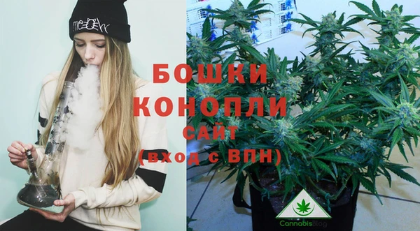 a pvp Медногорск